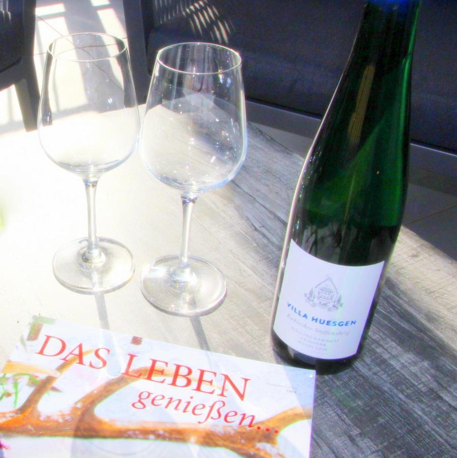 Mosel-Loggia - Luxusapartment -Terrass - Klimaanlage Traben-Trarbach Luaran gambar